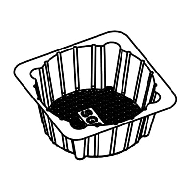Termoformadora de plástico BOPS